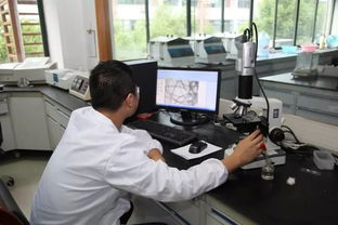 義烏開(kāi)展襯衫生產(chǎn)企業(yè)質(zhì)量分析測(cè)試專項(xiàng)活動(dòng)，技術(shù)服務(wù)助力產(chǎn)業(yè)升級(jí)